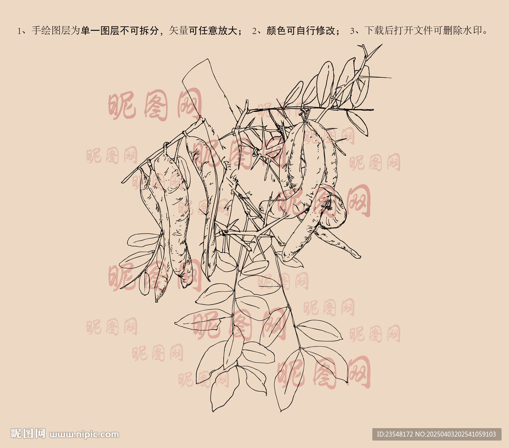 皂荚