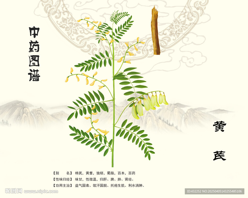 黄芪中药黄芪