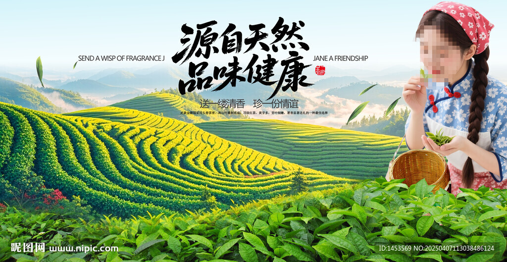 采茶女