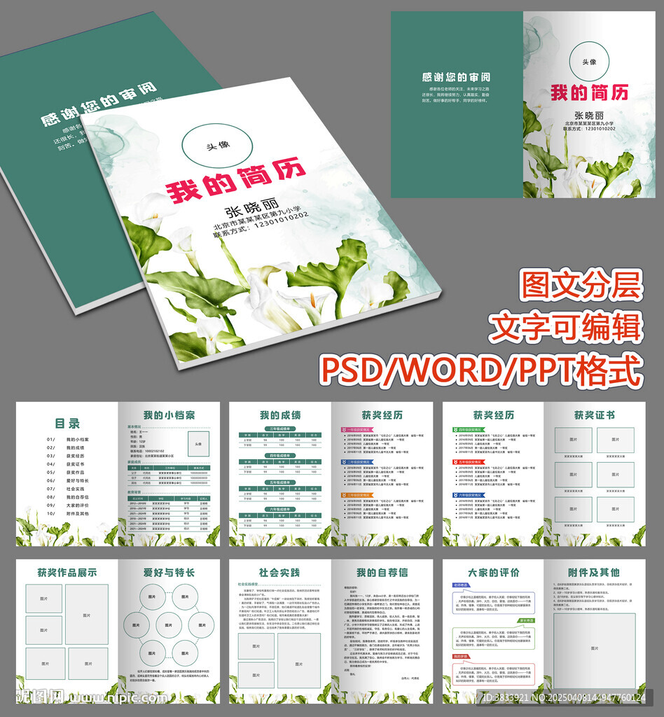 小升初儿童简历