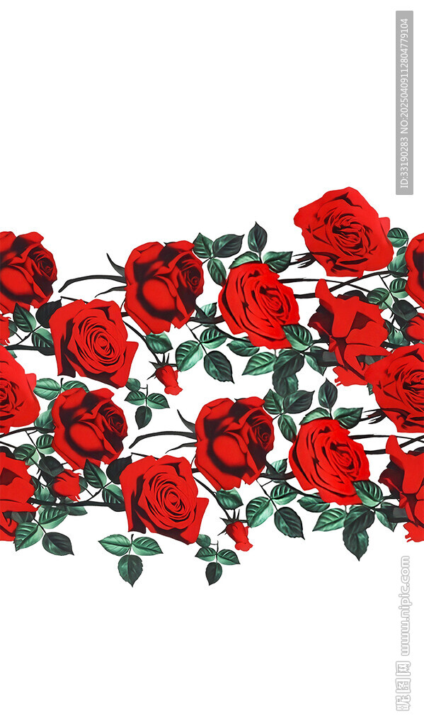 玫瑰花