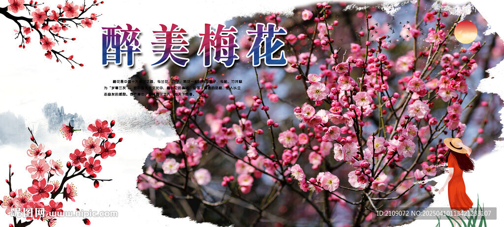 梅花  