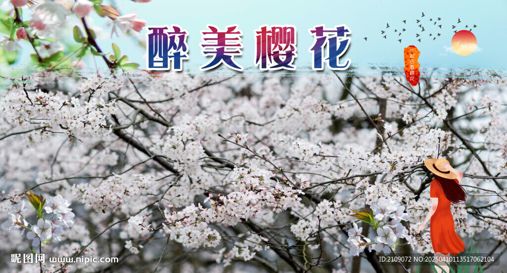 樱花  