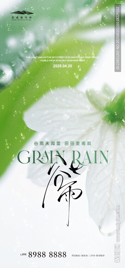 谷雨