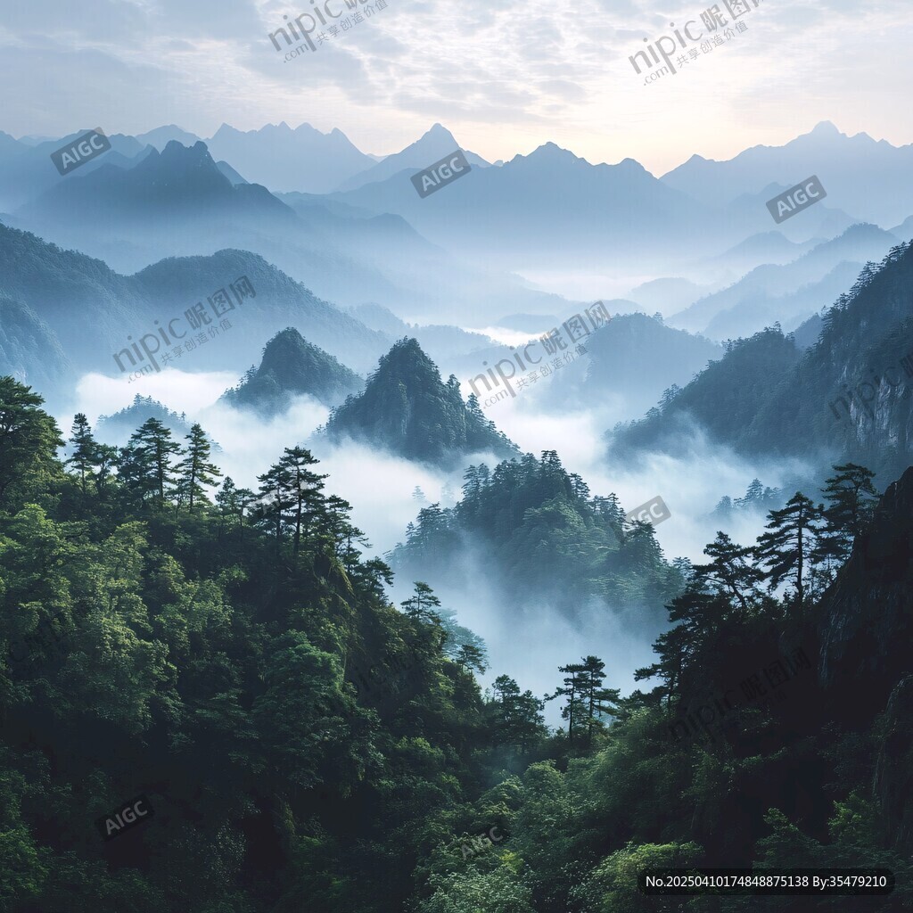 云雾缭绕的山间森林美景