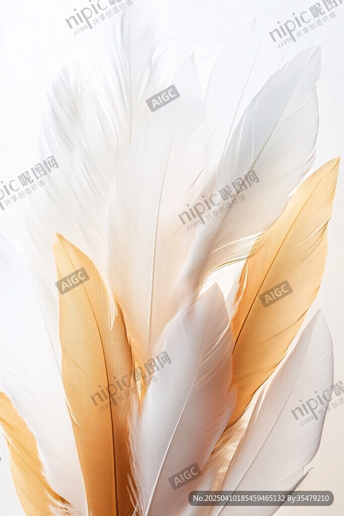 梦幻白黄羽毛特写