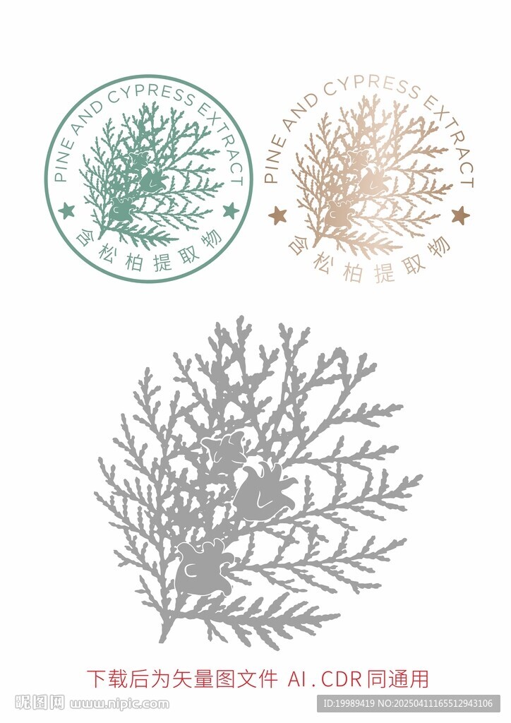 松柏叶 矢量图源文件