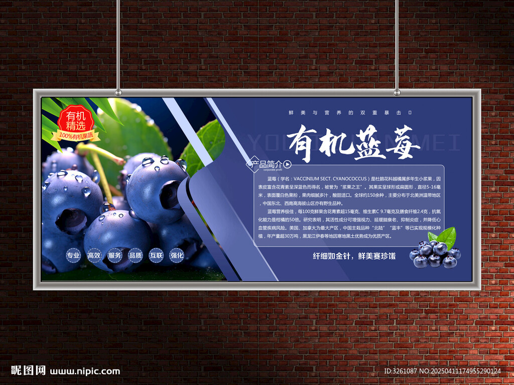 蓝莓展板