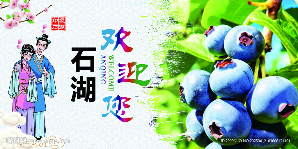 蓝莓展板