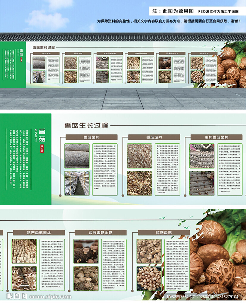 农业生产基地富香菇展板