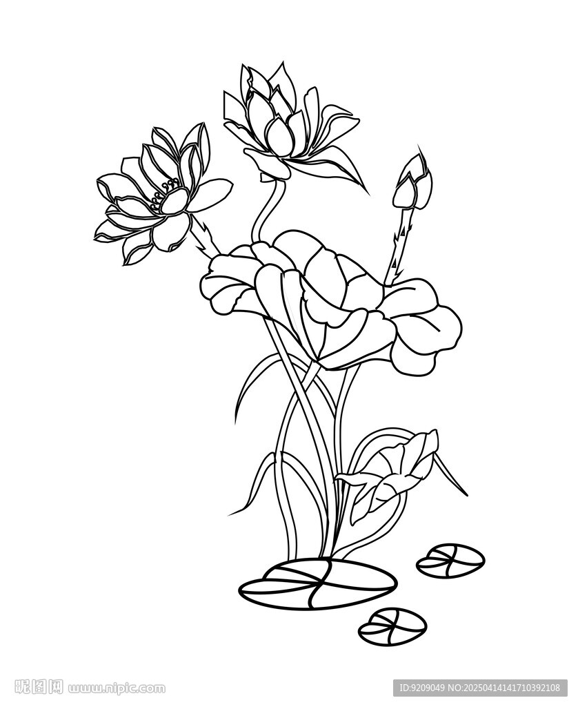 莲花矢量图