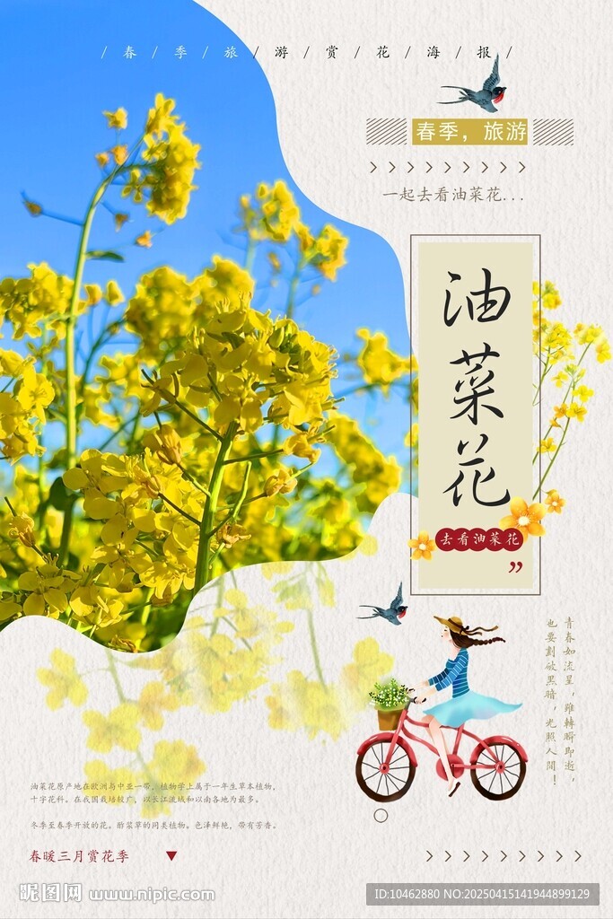 唯美油菜花春天旅游海报