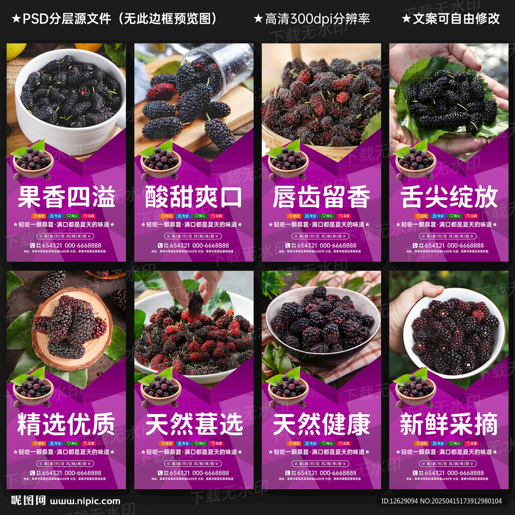 桑葚