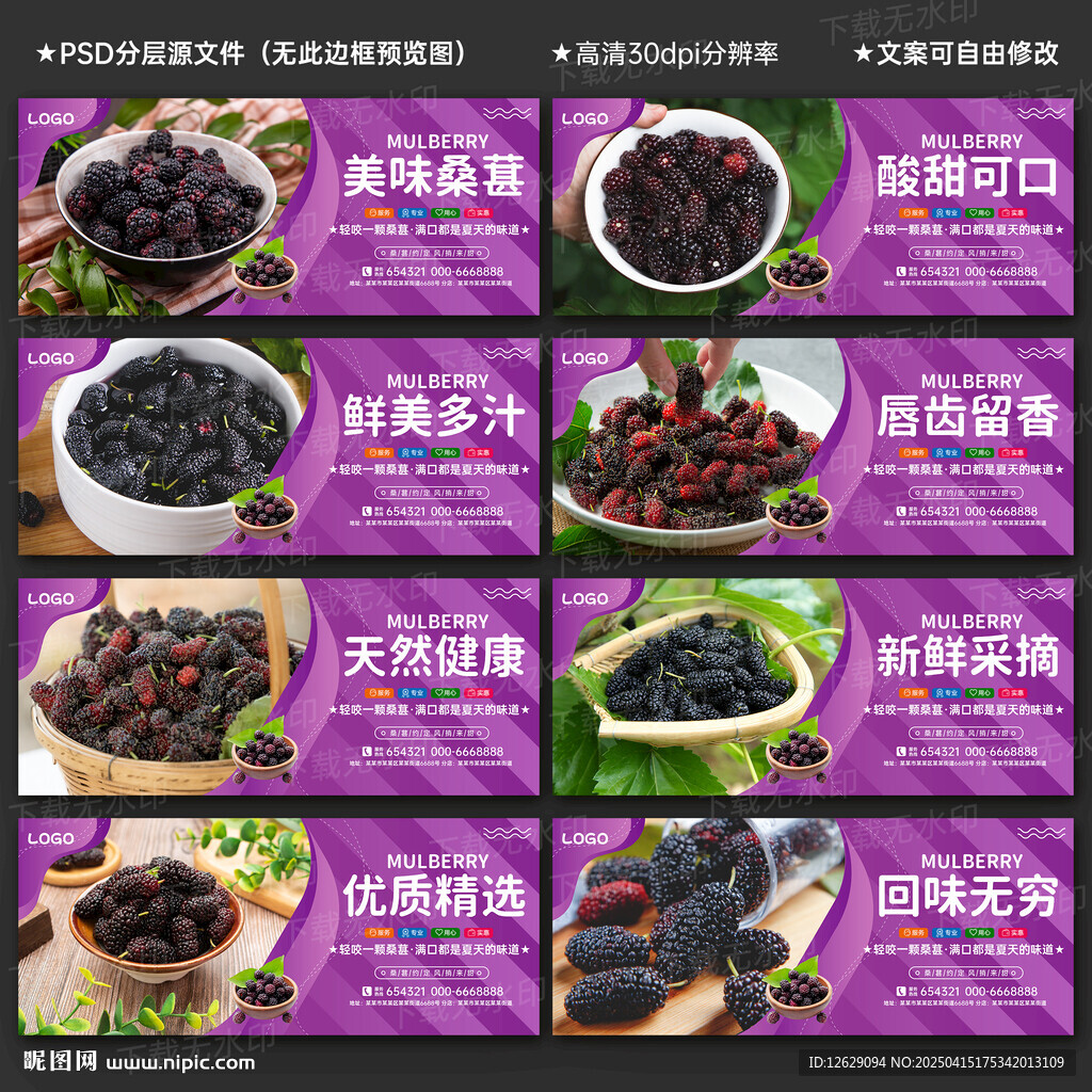 桑葚