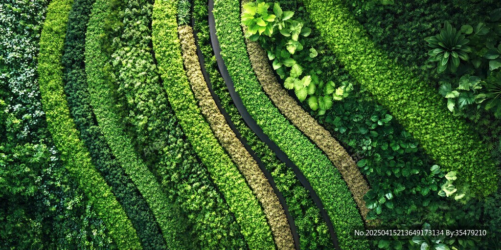 绿色植物墙的优美曲线
