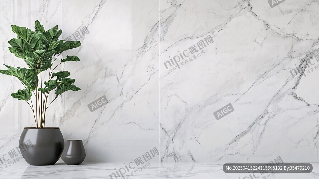 大理石墙面旁的绿植摆件