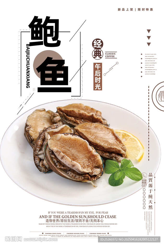 鲍鱼