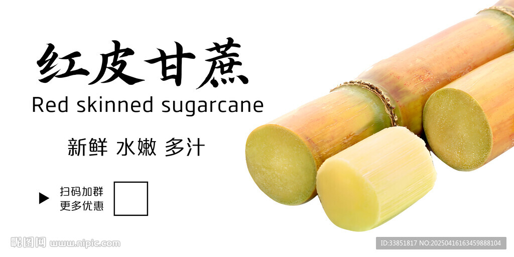 甘蔗