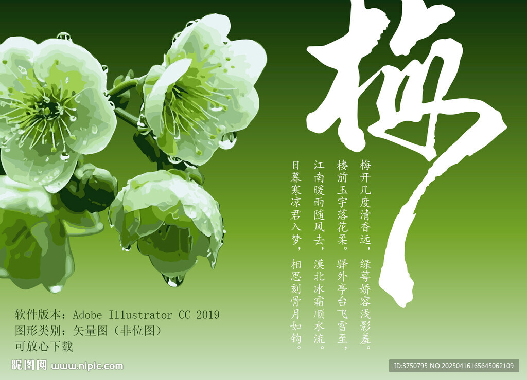 绿萼梅