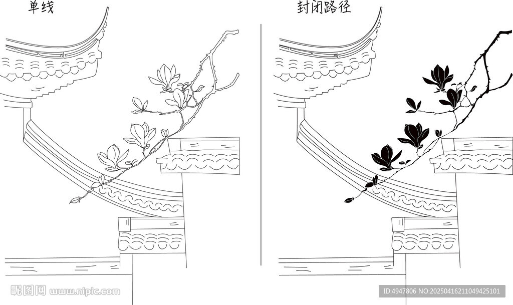 玉兰花 矢量图