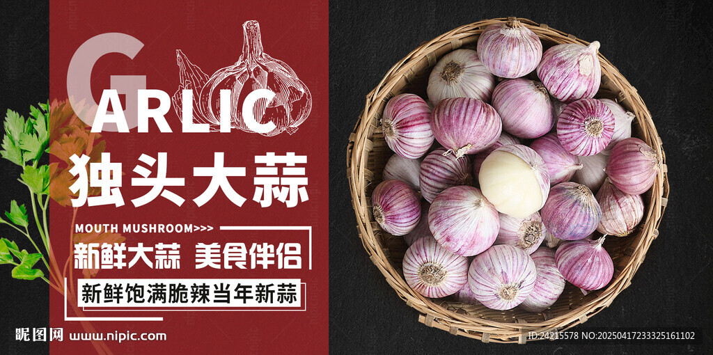 独头大蒜
