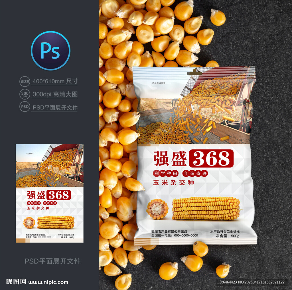 玉米种子