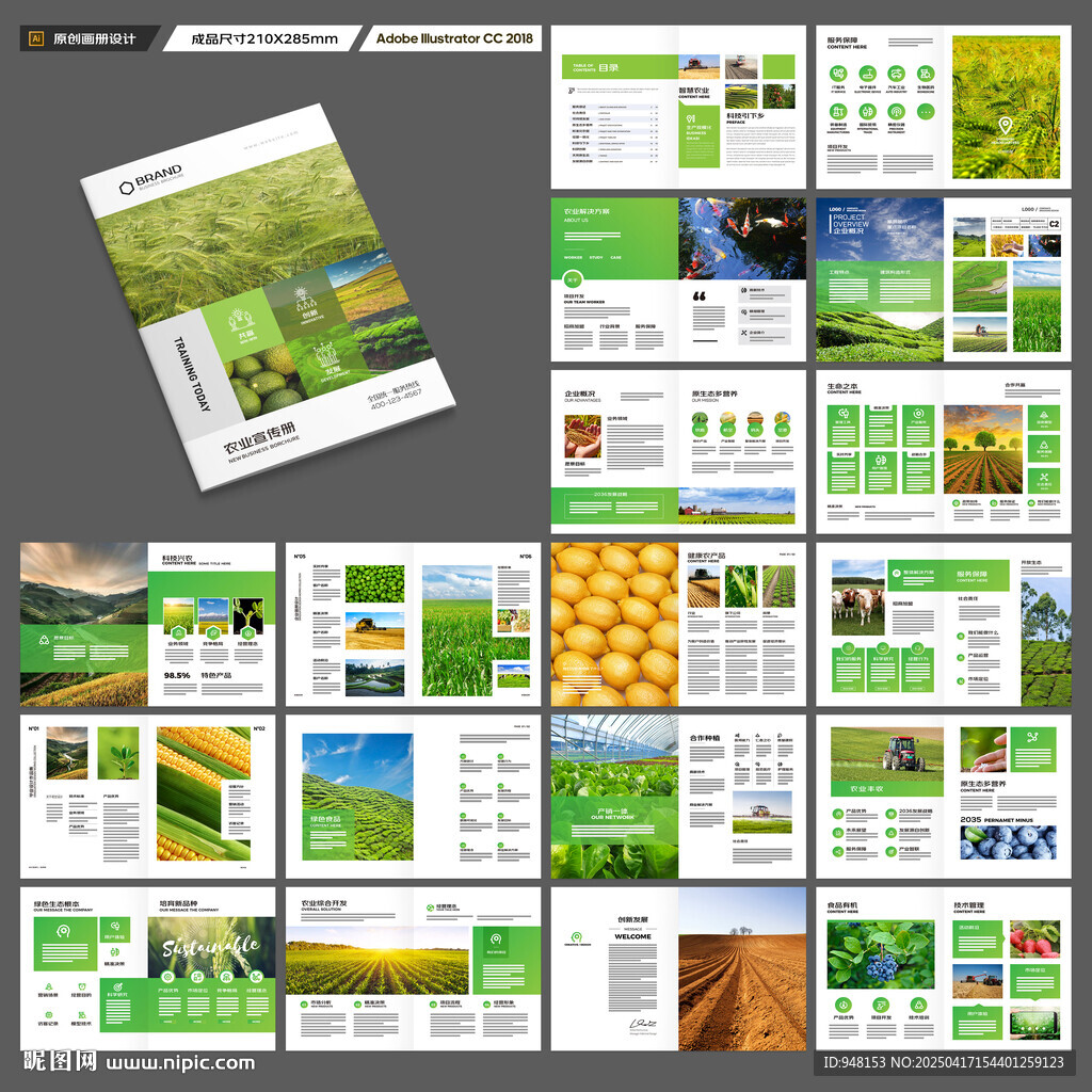 农业宣传册