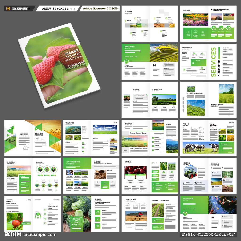 农产品宣传册