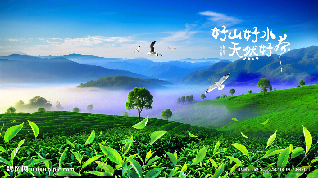 茶山