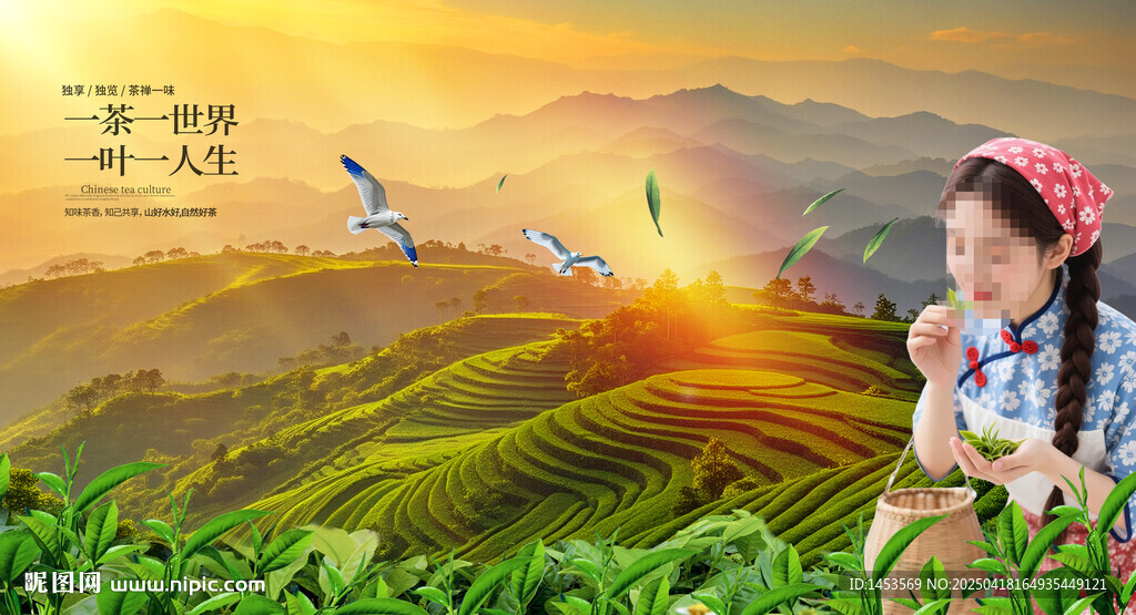 茶园日出