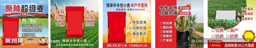 农化小种子网页主图详情图