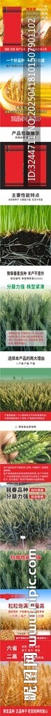 农化小种子网页主图详情图