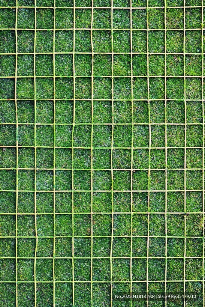 绿色网格植被墙纹理
