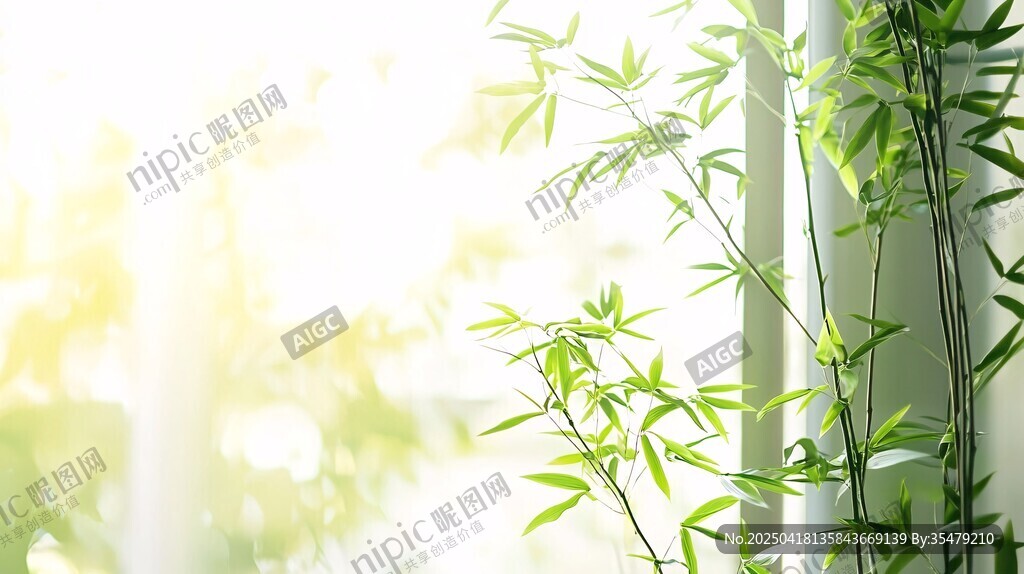 窗边翠竹 沐浴温暖阳光