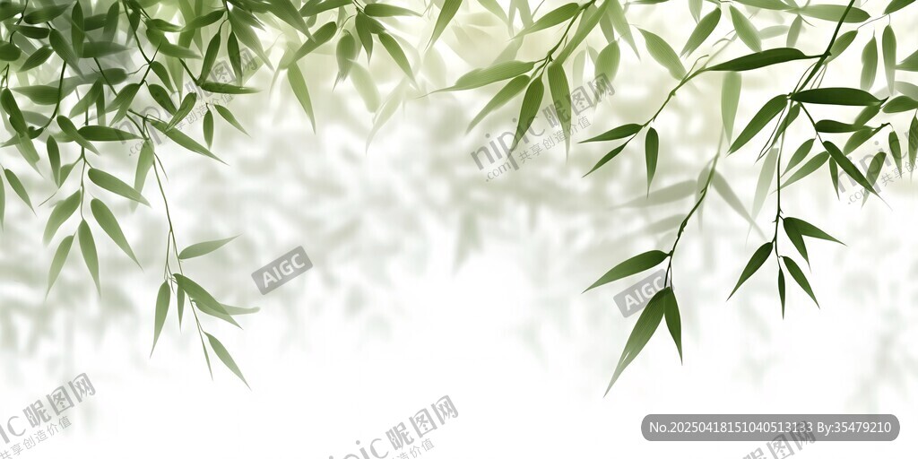 翠绿竹叶垂落清新画面