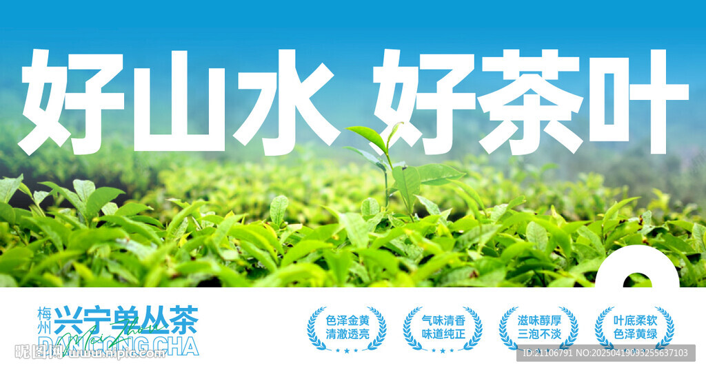 优质茶叶主视觉