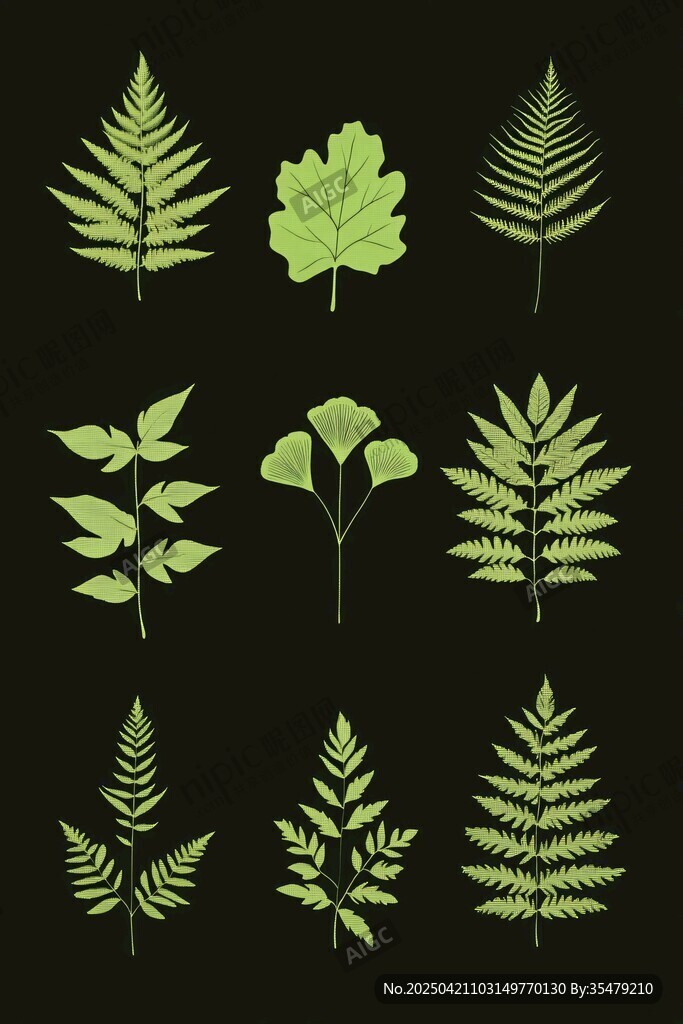 多样绿植叶片素材
