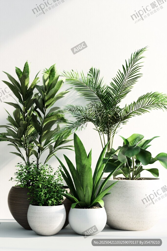 室内绿植组合 清新自然风