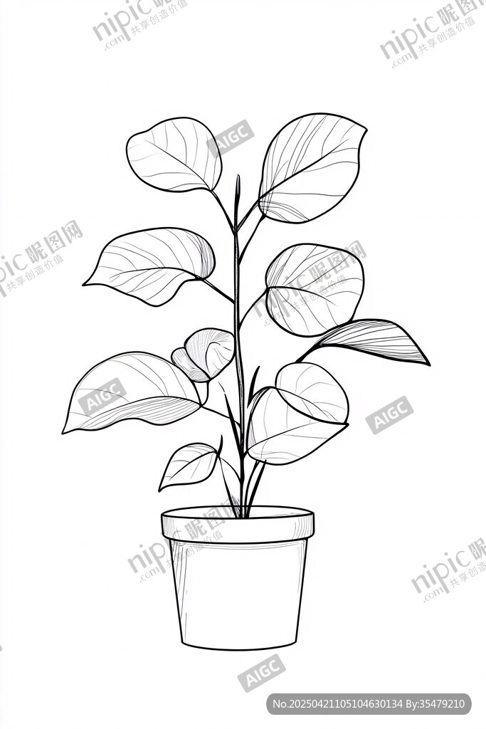 盆栽植物线描插画