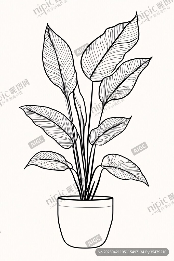 简约盆栽植物黑白插画