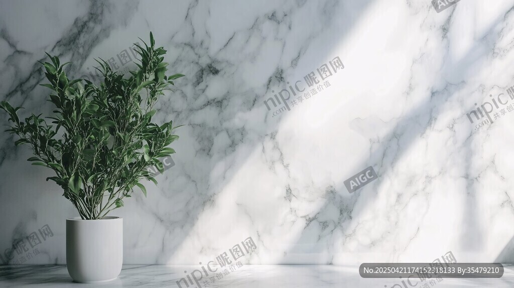 大理石墙前的绿植盆栽