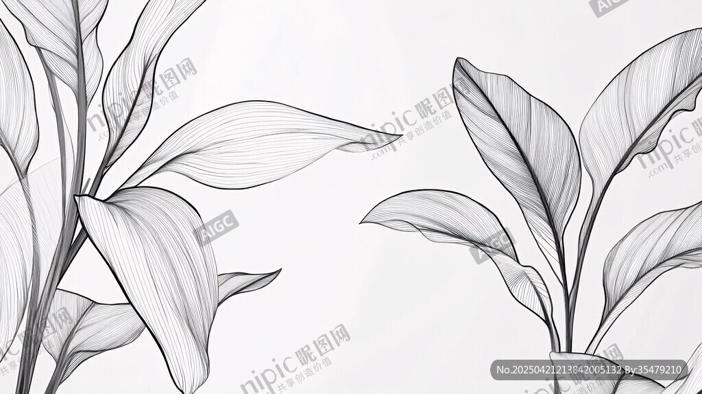黑白线条绘就的清新植物