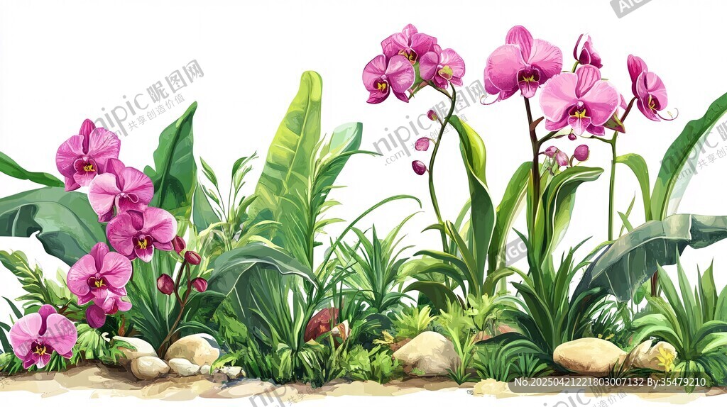 粉色兰花与绿植景观图