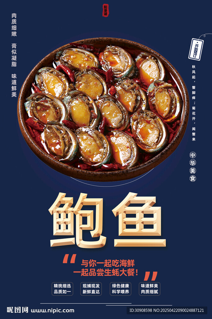 鲍鱼