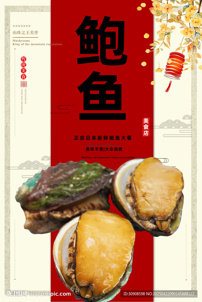 鲍鱼