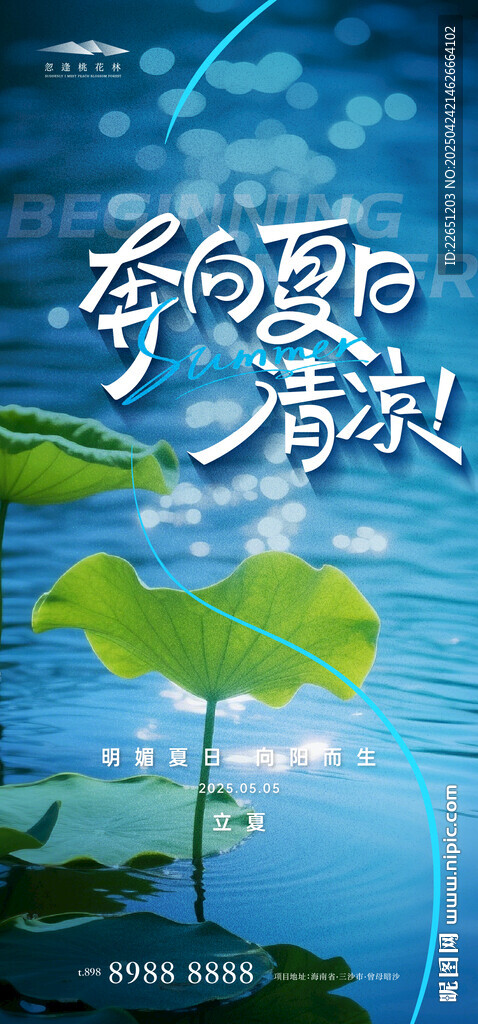 夏日荷塘清凉风景图