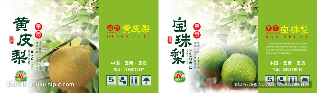 梨包装设计展示