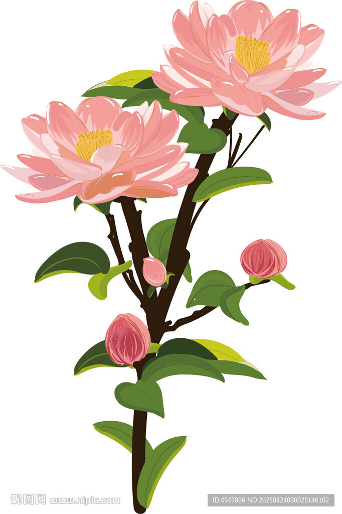 粉色花卉插画