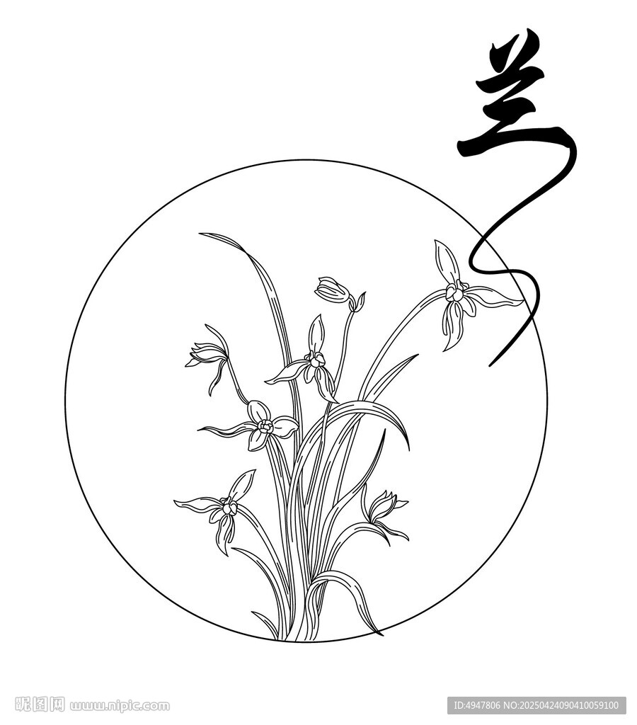 兰 矢量图