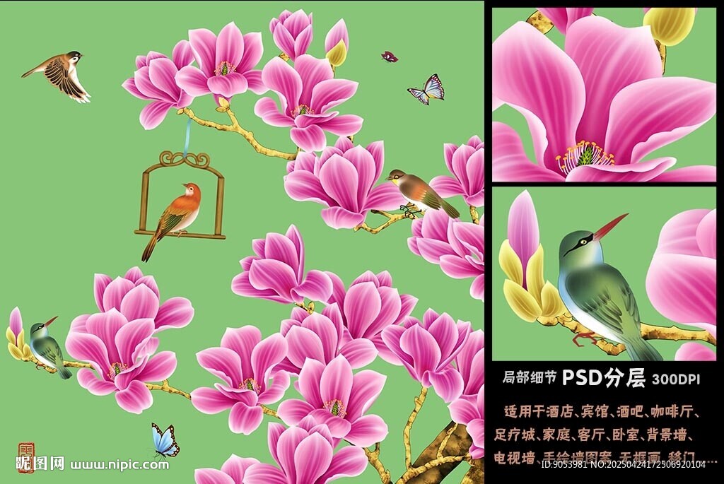 玉兰花鸟